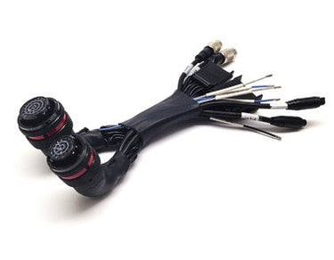 AiM MXL to MXG, MXS, MXL2 Adapter Harness